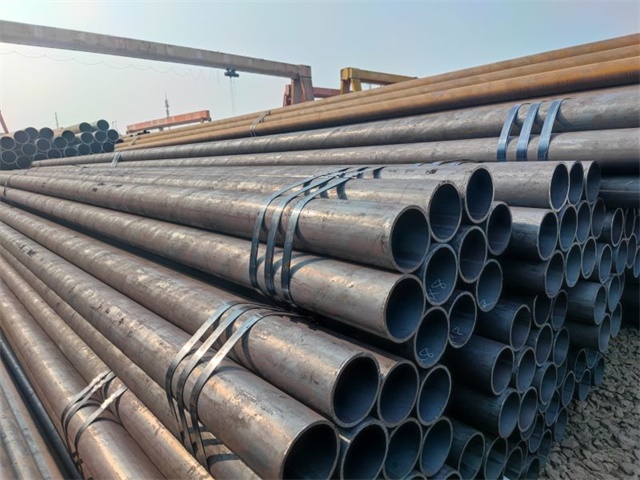 IMG_20230401_153639.jpg IMG_20230401_153639.jpg